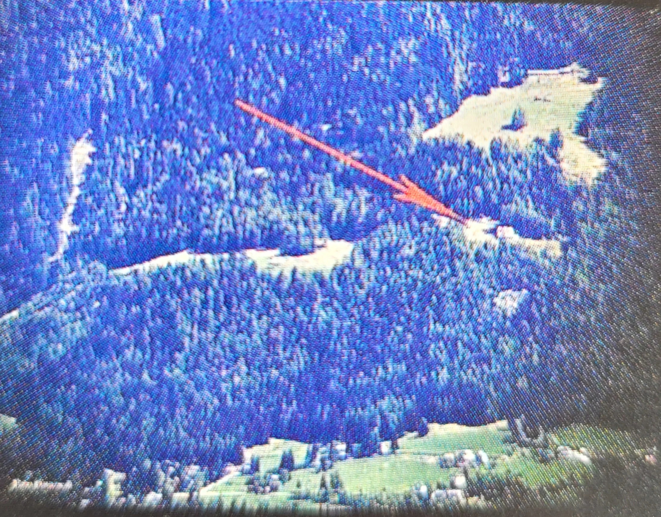 La posizione di Villa Tea nella pineta di Chevrière