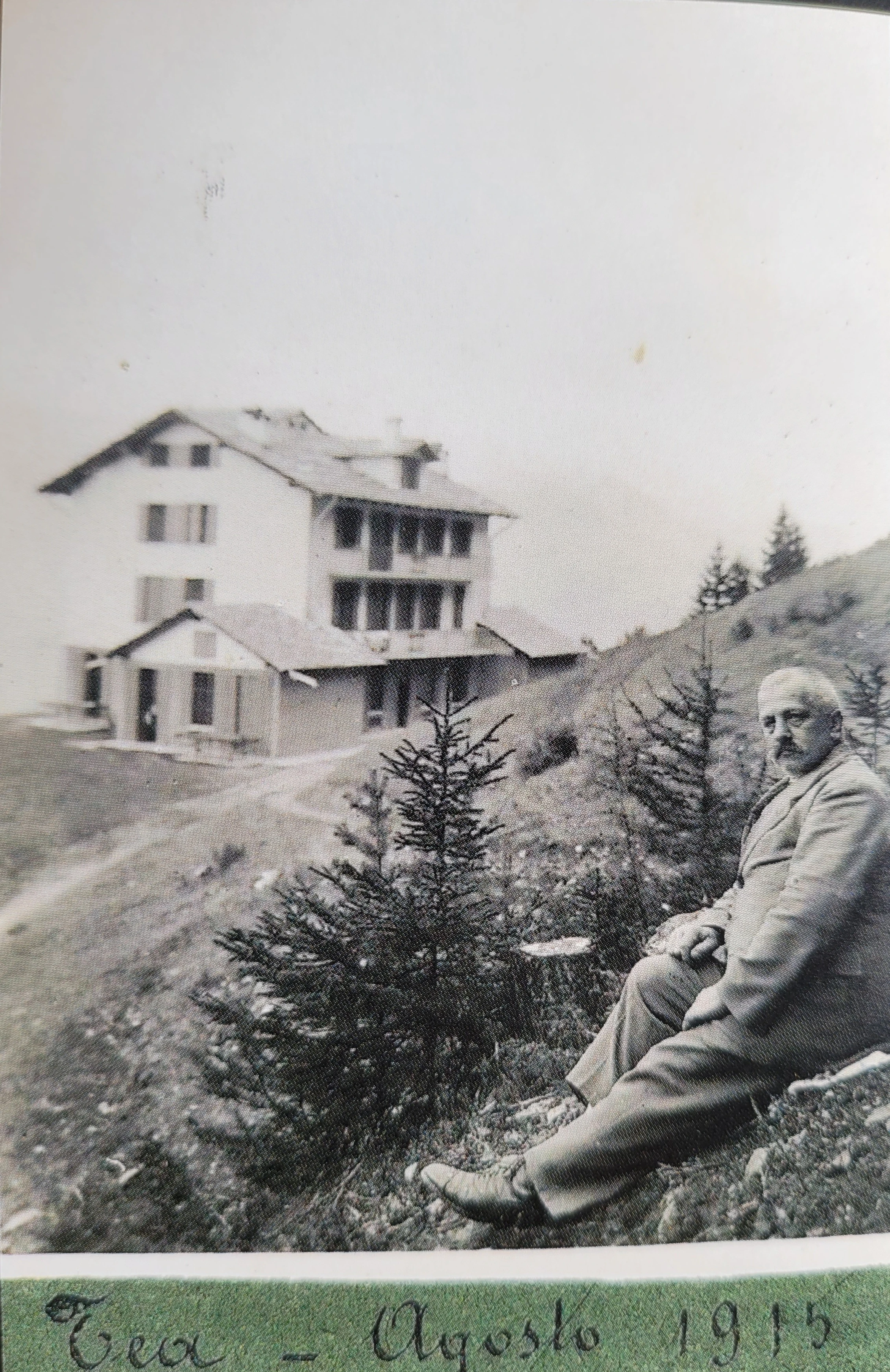 Panoramica della pineta di Chevrière che circonda la villa